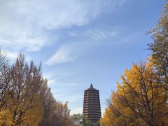 -玲珑塔公园