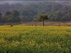 -广州市石门国家森林公园