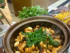 -金龙·打边炉(武进路店)
