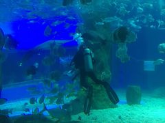 -北戴河圣蓝海洋公园