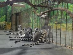 -西安秦岭野生动物园