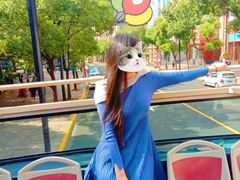 -BUS TOUR观光巴士