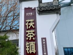 -茯茶镇