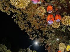 -美兰湖景区