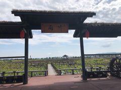 -漩门湾国家湿地公园