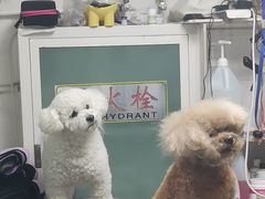 -达爱动物医院·犬猫分区·CT·复杂眼科(远洋山水分院)