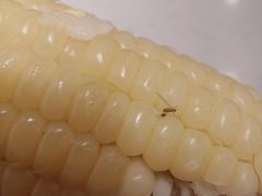 -全家便利店(署前路三店)