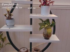 -宫七SPA·高端Massage(浦东大道店)