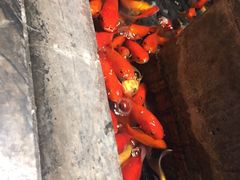 -南堂館川菜文化餐厅(天府店)