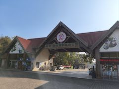 -上海海湾国家森林公园