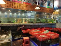 -巽寮印象美食部落餐厅·海鲜·地方特色菜(惠州体验店)