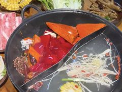 -阳阳老火锅(小南门店)