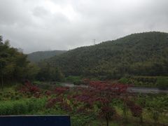 -宁波浙东大竹海景区