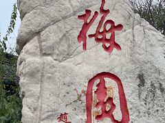 -梅园