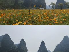 -钟山水墨田园