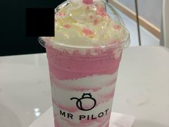 -飞行喵MR PILOT|猫舍·猫咖(静安大融城店)