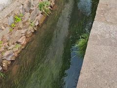 -西溪南古村落