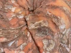 -蝎王府羊蝎子(嵩山南路店)