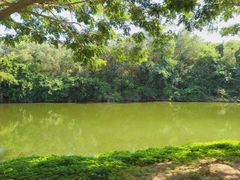 -三亚南山文化旅游区