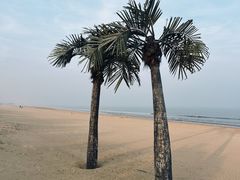 -巧克力渔家.小船海鲜家常菜(万平口店)