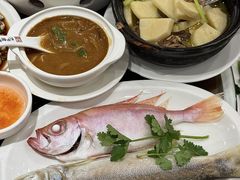 -长平肥姐白粥·海鲜打冷