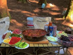 -武陵山森林公园