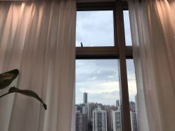 点击看大图 -芙芬芳·半永久纹眉(深圳旗舰店)