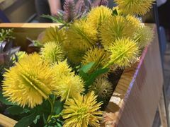 -河坝烧烤串城(金达莱店)