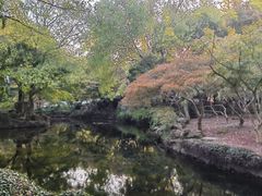 -秋霞圃