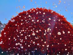 -郑州方特梦幻王国