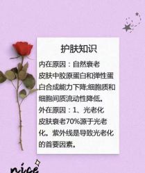 点击看大图 -玛莲朵·海菲秀冰珀科
