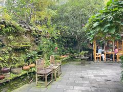 -青城甲(青城山店)