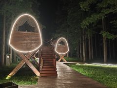 -黄海国家森林公园