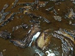 -泰顺江南春面馆