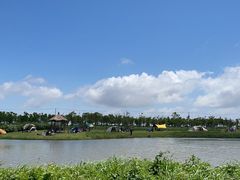 -春花秋色城市公园