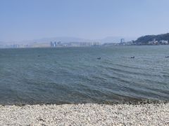-洱海月湿地公园