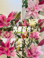 -FUMEIHUI·科技美肤·美体SPA