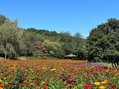 -萨尔浒风景区