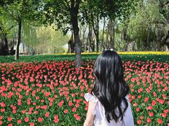 -长春公园(普阳街道)