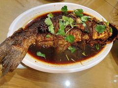 清江鱼-京天红酒家(虎坊路店)