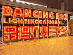 -锦江乐园舞狸花花游园会(夜场专享)