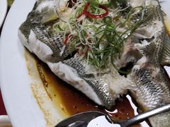 -肥弟大排档(汕樟路店)