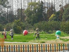 -上海长兴岛郊野公园