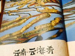 云海肴·云南菜-云海肴·汽锅鸡·云南菜(天津国金汇店)