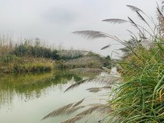 -白鹭湾湿地公园