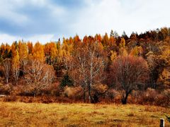 -塞罕坝国家级自然保护区