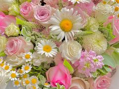 -植物学家的女儿(北马道巷店)