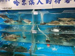 -胖姐渔村(中源大道店)