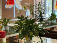 -嘉和一品(长江道店)
