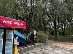 -宁波野生动物园